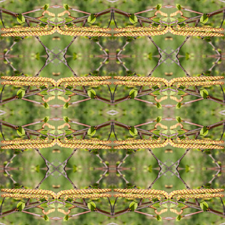 Stylized texture. Futuristic seamless pattern plants. Branch of birch with leaves, catkins, buds....