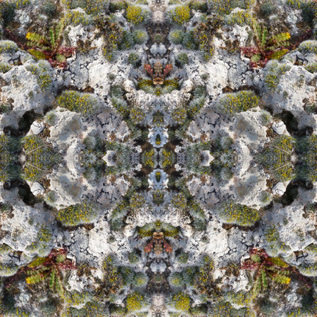 Stylized texture. Futuristic seamless pattern of mosses. Moss in early spring on sandstone. Prints for web design. Printing on wallpaper, T-shirts, bed linen or wrapping, textiles.の写真素材