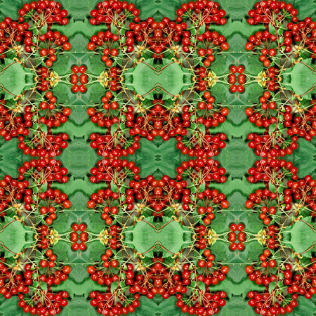 Plants. Seamless pattern. Ornament of berries and leaves of hawthorn. Seamless pattern collage for...