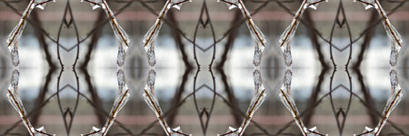 Ice texture. Futuristic seamless pattern of icicles on the trees. Icicles in early spring. Spring...