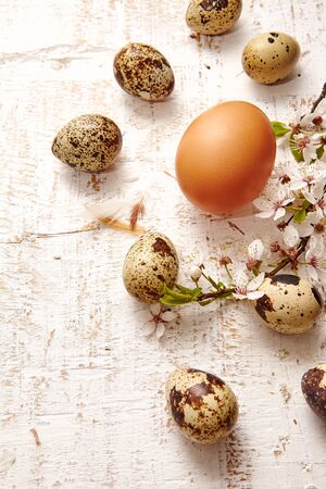 Spring easter composition with eggs and cherry flowers on a white background old woodenの写真素材