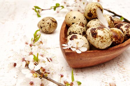 Spring easter composition with eggs and cherry flowers on a white background old woodenの写真素材