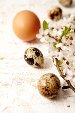 Spring easter composition with eggs and flowers on a white  old wooden backgroundの写真素材