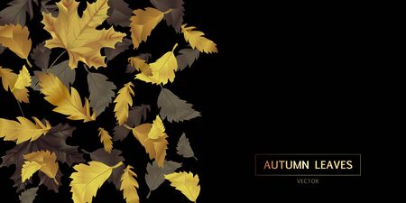 Vector advertising horizontal banner with gold and black falling leaves on black background. Can be used for flyers, banners or posters.のイラスト素材