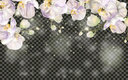 Detailed Blossoming orchid branch on transparent background. Spring or summer decoration. Realistic Orchid Blossom border. Spring design for cards, banners, flyers, party posters, headers.のイラスト素材