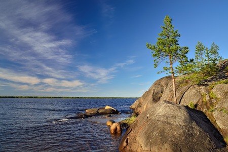 Karelian landscape: rocks and pines. Russiaの写真素材