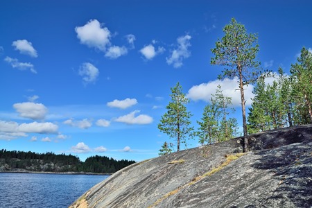 Beautiful Karelian landscape - rocks, pine trees and water. Bay Chupa, White sea coast, Karelia, Russiaの写真素材