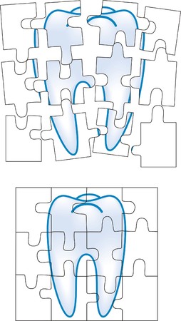 tooth puzzle              のイラスト素材