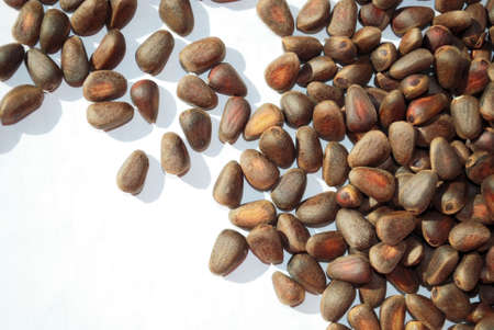 pine nuts on white, not peeled の写真素材