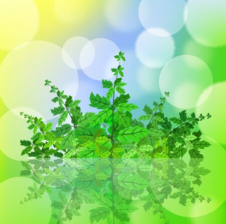Green spring background with leafage and blurry lightのイラスト素材