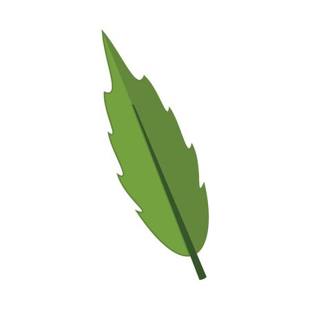 Cartoon Floral Leaf Vector Illustration Graphic Designのイラスト素材