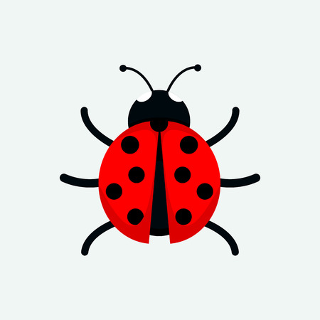 Cute Ladybug Drawing Vector Illustration Graphic Designのイラスト素材