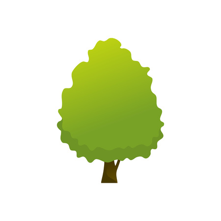 Isolated Common Garden Tree Plant Vector Illustration Graphic Designのイラスト素材