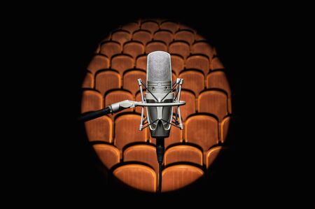 Professional, studio microphone against the background of the auditorium. Located located in the center of the frame. A bright beam illuminates the background.
Can be used for audio, karaoke and music content.の写真素材