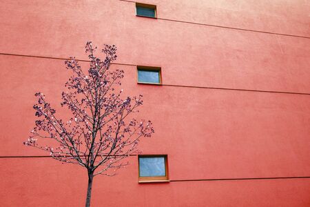 Huge wall on modern building with two windows and lines. Reflections in windows. Copy space
