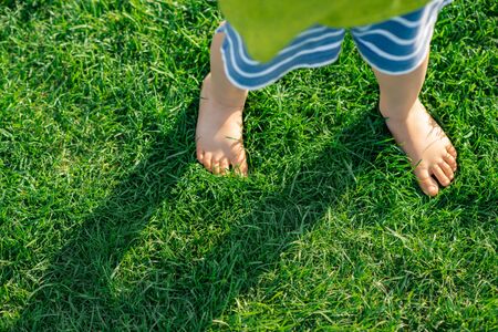 Barefooted child standing on green grass, outdoors. - Imageの写真素材