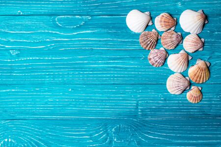 Seashells on blue wooden background