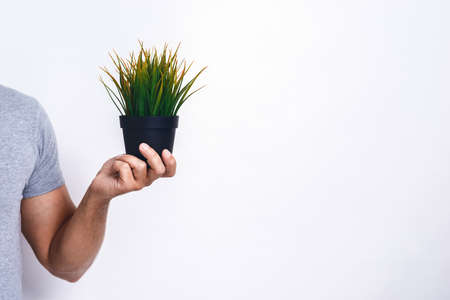 Cropping image of male hands with fresh grass pot .Concept World Environment Day. - Copyspaceの写真素材