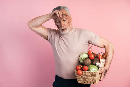 Tired senior man holding a basket with vegetables on a pink background. A man with a stray face after hard work.の写真素材