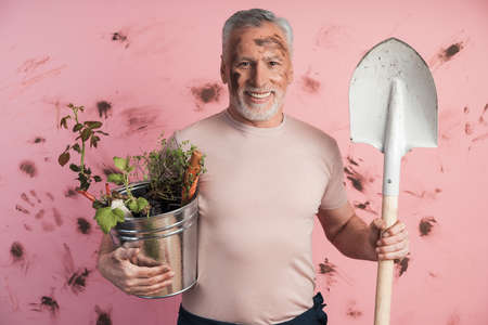 Senior man, gardener with a shovel and a bucket in his hands. Cute elderly man is engaged in gardening on a pink, dirty background.の写真素材