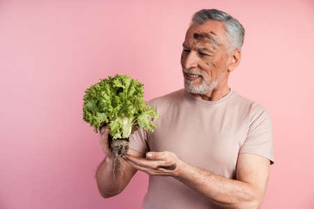 Handsome man is holding a handful of lettuce leaves, he is looking at him. The concept of farming, organic food, healthy eating.の写真素材