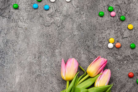 On a gray plaster background beautiful fresh tulips.の写真素材