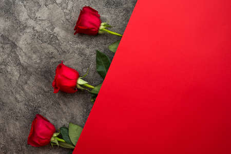 Red roses lie beautifully on a gray and red background.の写真素材