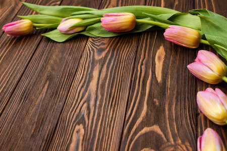 Tulips on the wooden boards of the table. Greeting card for mother's Day, Easter. Copy spaceの写真素材
