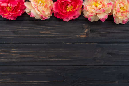 Beautiful fresh peonies on wooden surfaceの写真素材