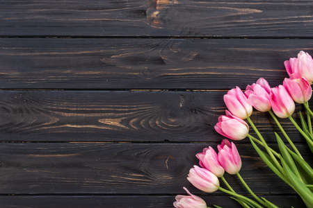Tulips on wood backgroundの写真素材