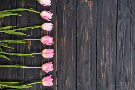 Pink tulips bunch on dark barn wood planks background.の写真素材