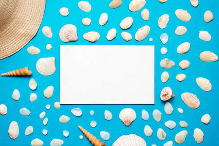 Seashells with copy space for text on blue paper background. Top view Template for your design. High quality photoの写真素材