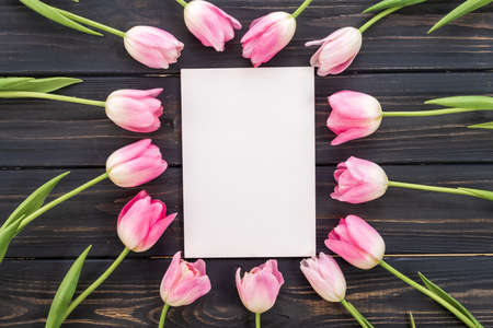 White cardboard in the middle of pink tulips. Spring conceptの写真素材