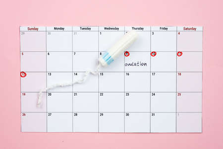 Menstrual calendar and woman  tampon lying on pink background. - Imageの写真素材