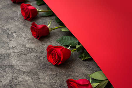 Roses on dark gray and red backgound, Valentines Day.の写真素材