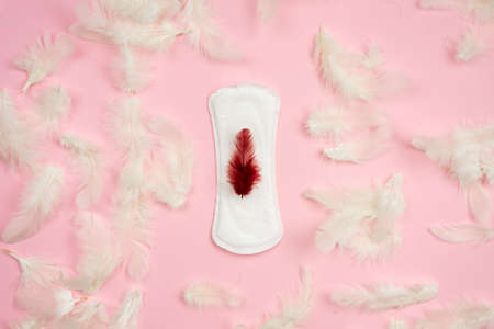 Hygienic pad, feather on the pad. Concept of critical days.の素材 [FY310175807832]