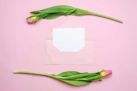 Pink tulips, empty piece of paper card and envelope isolated on pink background. Copy space for text. Feminine concept flat lay. Mock up top viewの写真素材