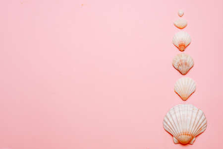 On a pink background laid out seashells, the mention of rest. High quality photoの写真素材