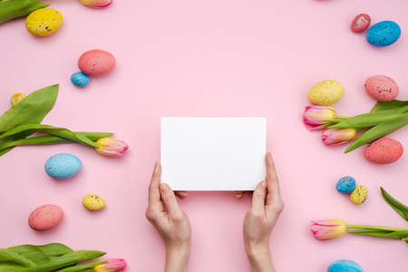 Female hands holding an empty template mockup white blank on a pink  Easter backgroundの写真素材