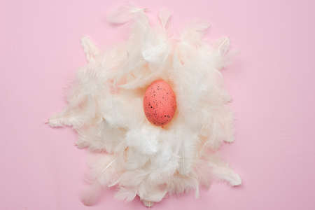 Pink egg with feathers    lie on a pink background. - Top viewの写真素材