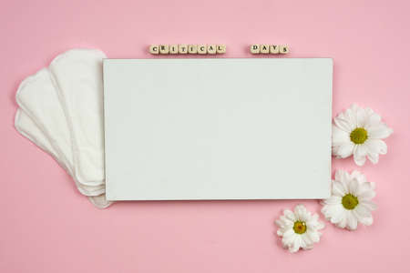 Female pads and white piece of paper on a pink backgroundの写真素材