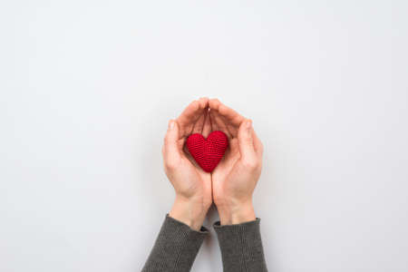 Textile red heart in woman hand on pastel backgroundの写真素材