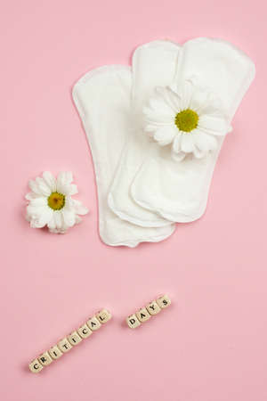 Woman pads  and chamomile  lying on  pink  background.    Concept critical daysの写真素材
