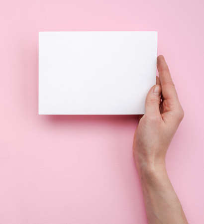 Female hand holding an empty template mockup white blank on a pink backgroundの写真素材