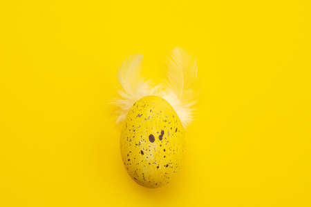 Easter background. Yellow egg with feathers    lie on a tableの写真素材