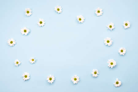 Frame made of  fresh chamomile flowers on table. Copy space ,  empty  on blue backgroundの写真素材