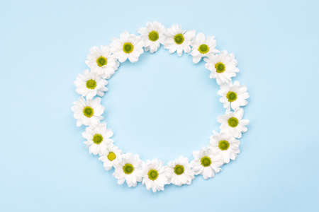 Nature background, white daisies arranged in a circle on white background with copy spaceの写真素材