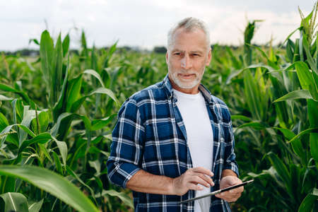 The farmer uses the tablet in the field, outdoors. Modern technologies, the concept of agriculture.の写真素材