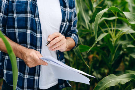 A farmer works in a field. He takes notes, watching the growth.の写真素材