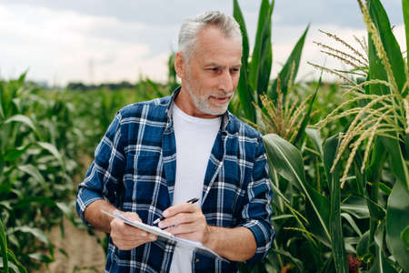 Older man, an agronomist, observes the growth of agriculture, makes notes in a notebook.の写真素材